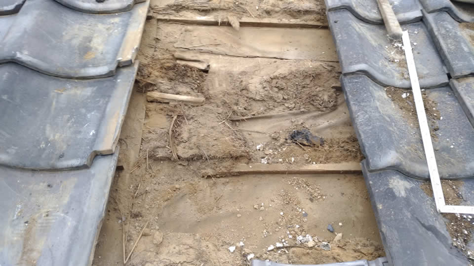 雨漏り箇所の屋根下地の状態画像