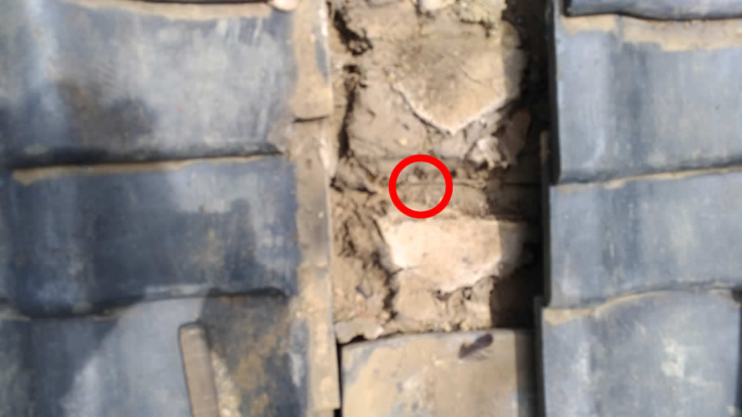 対象となる瓦の下地の泥の状態を確認する画像